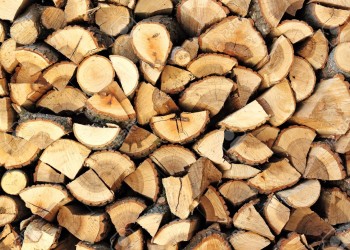 15777288-pile-of-firewood-logs-Stock-Photo.jpg