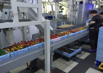 Кондитерская фабрика 